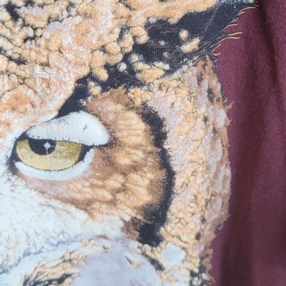 Not Available - Picture 8 of 10